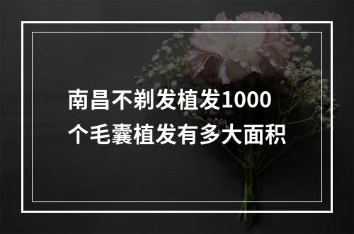 南昌不剃发植发1000个毛囊植发有多大面积