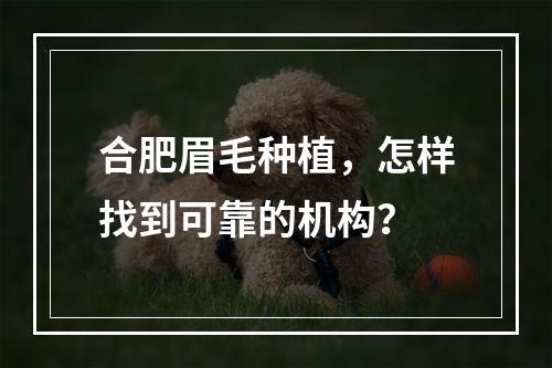 合肥眉毛种植，怎样找到可靠的机构？