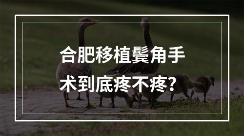 合肥移植鬓角手术到底疼不疼？