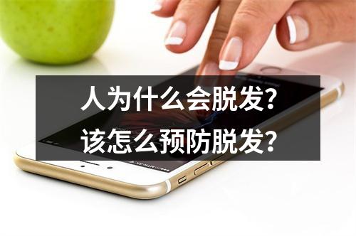 人为什么会脱发？该怎么预防脱发？