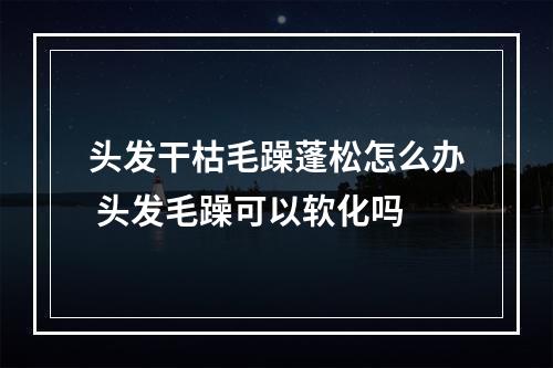 头发干枯毛躁蓬松怎么办 头发毛躁可以软化吗