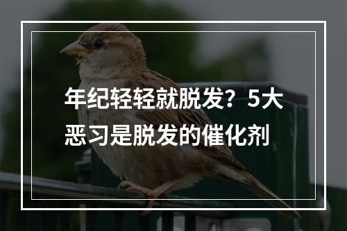 年纪轻轻就脱发？5大恶习是脱发的催化剂