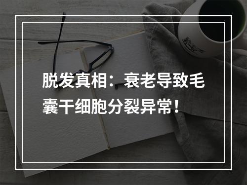 脱发真相：衰老导致毛囊干细胞分裂异常！