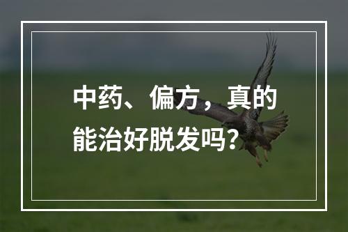 中药、偏方，真的能治好脱发吗？