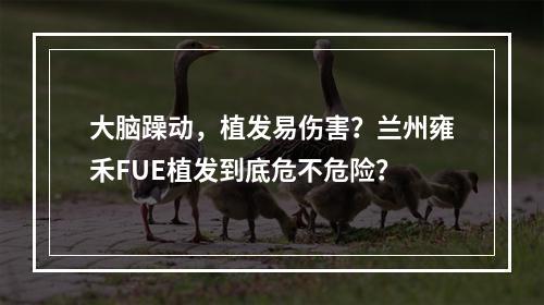 大脑躁动，植发易伤害？兰州雍禾FUE植发到底危不危险？