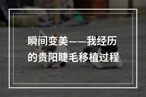 瞬间变美——我经历的贵阳睫毛移植过程