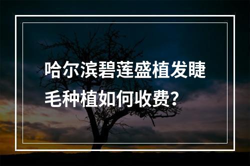 哈尔滨碧莲盛植发睫毛种植如何收费？