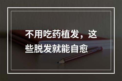 不用吃药植发，这些脱发就能自愈