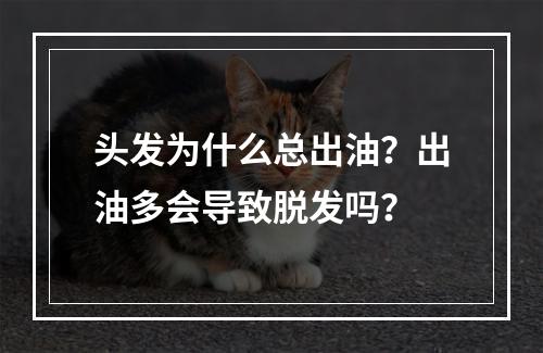 头发为什么总出油？出油多会导致脱发吗？