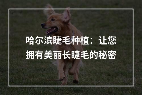 哈尔滨睫毛种植：让您拥有美丽长睫毛的秘密