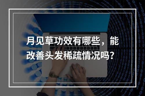 月见草功效有哪些，能改善头发稀疏情况吗？