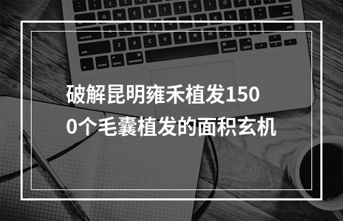 破解昆明雍禾植发1500个毛囊植发的面积玄机