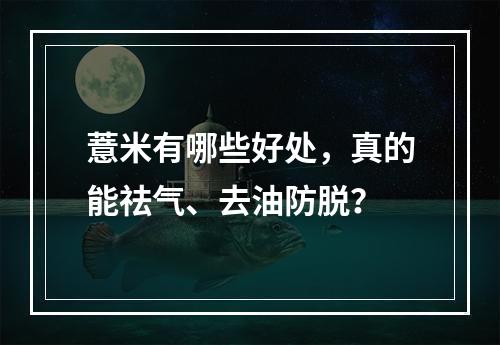 薏米有哪些好处，真的能祛气、去油防脱？