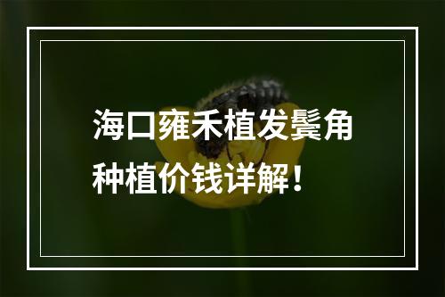 海口雍禾植发鬓角种植价钱详解！