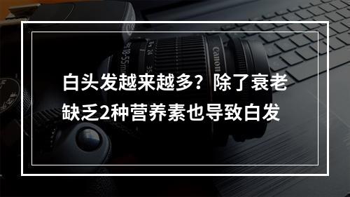 白头发越来越多？除了衰老缺乏2种营养素也导致白发