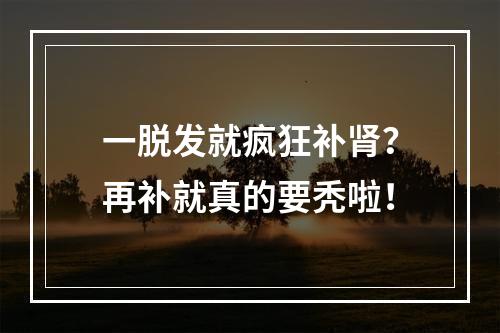 一脱发就疯狂补肾？再补就真的要秃啦！