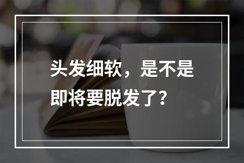 头发细软，是不是即将要脱发了？