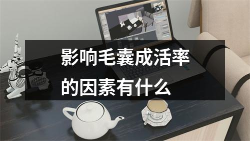 影响毛囊成活率的因素有什么