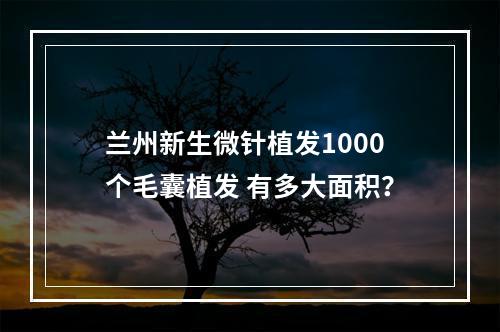 兰州新生微针植发1000个毛囊植发 有多大面积？