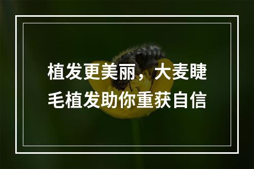 植发更美丽，大麦睫毛植发助你重获自信