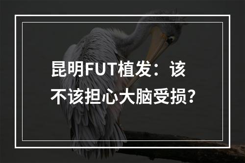 昆明FUT植发：该不该担心大脑受损？