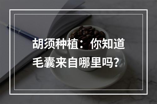 胡须种植：你知道毛囊来自哪里吗？