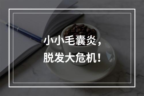 小小毛囊炎，脱发大危机！