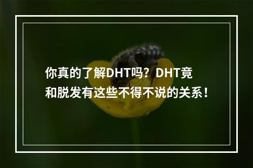 你真的了解DHT吗？DHT竟和脱发有这些不得不说的关系！