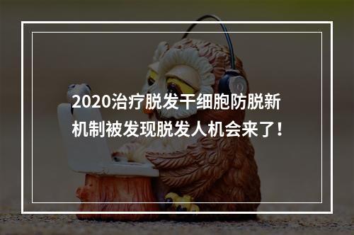 2020治疗脱发干细胞防脱新机制被发现脱发人机会来了！