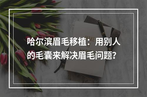 哈尔滨眉毛移植：用别人的毛囊来解决眉毛问题？