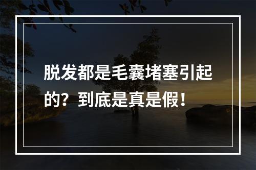 脱发都是毛囊堵塞引起的？到底是真是假！