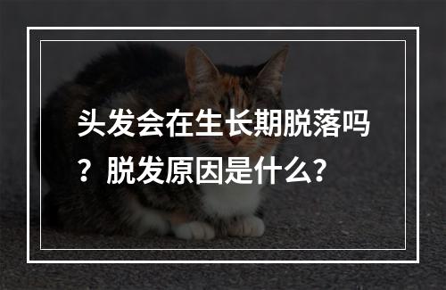 头发会在生长期脱落吗？脱发原因是什么？