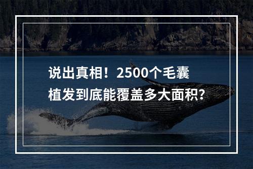 说出真相！2500个毛囊植发到底能覆盖多大面积？