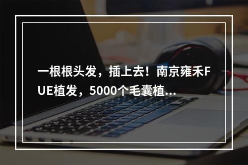 一根根头发，插上去！南京雍禾FUE植发，5000个毛囊植发有多大面积