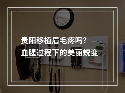 贵阳移植眉毛疼吗？——血腥过程下的美丽蜕变