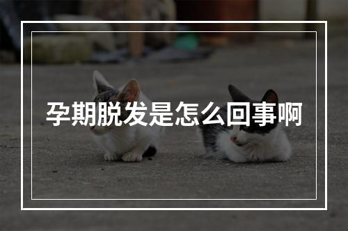 孕期脱发是怎么回事啊