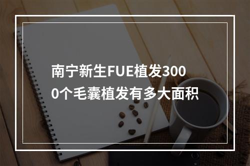 南宁新生FUE植发3000个毛囊植发有多大面积