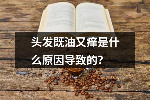 头发既油又痒是什么原因导致的？