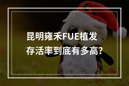 昆明雍禾FUE植发存活率到底有多高？