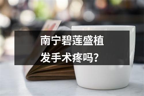 南宁碧莲盛植发手术疼吗？