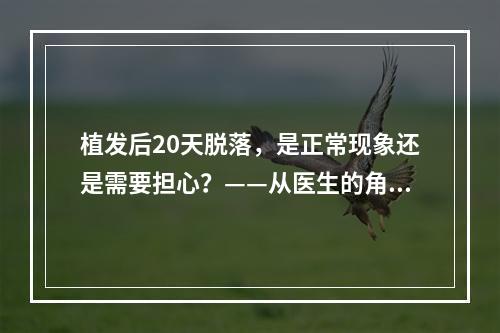 植发后20天脱落，是正常现象还是需要担心？——从医生的角度分析