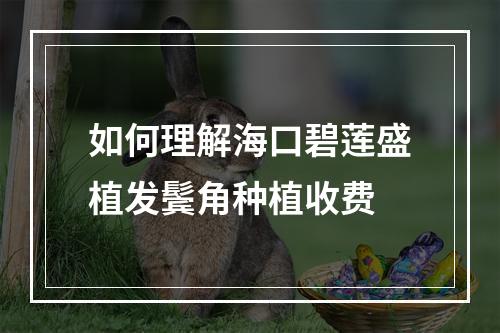 如何理解海口碧莲盛植发鬓角种植收费