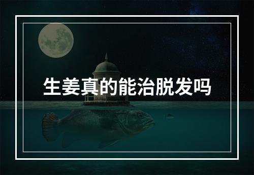 生姜真的能治脱发吗