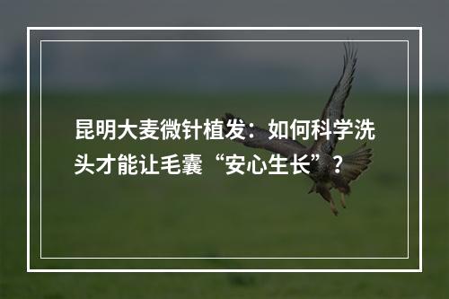 昆明大麦微针植发：如何科学洗头才能让毛囊“安心生长”？