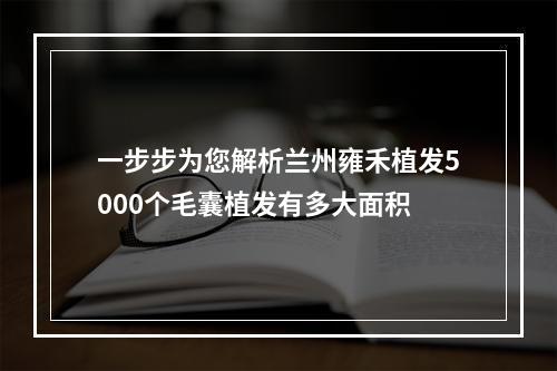 一步步为您解析兰州雍禾植发5000个毛囊植发有多大面积