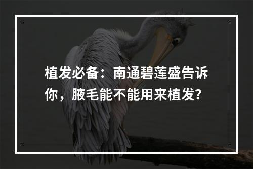 植发必备：南通碧莲盛告诉你，腋毛能不能用来植发？