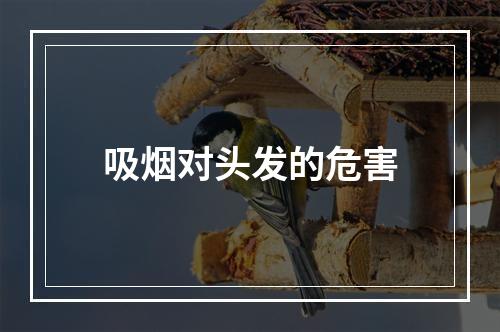 吸烟对头发的危害