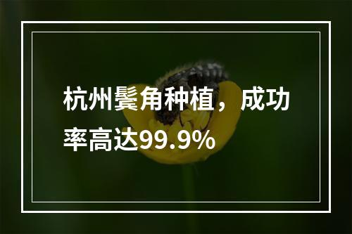 杭州鬓角种植，成功率高达99.9%