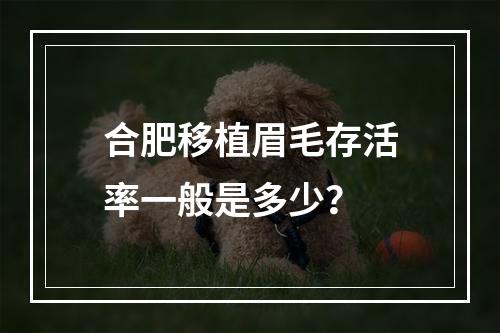 合肥移植眉毛存活率一般是多少？