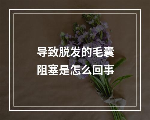 导致脱发的毛囊阻塞是怎么回事